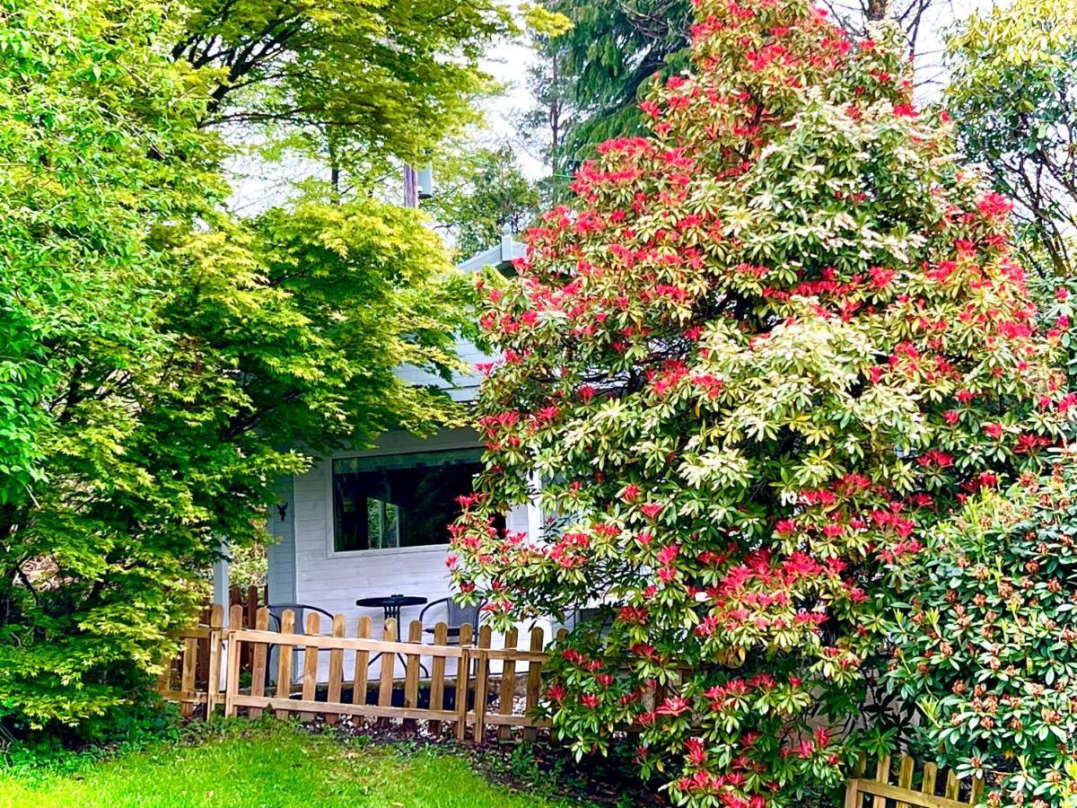 Treeside Woodhouse Villa ฮอว์กส์เฮด ภายนอก รูปภาพ